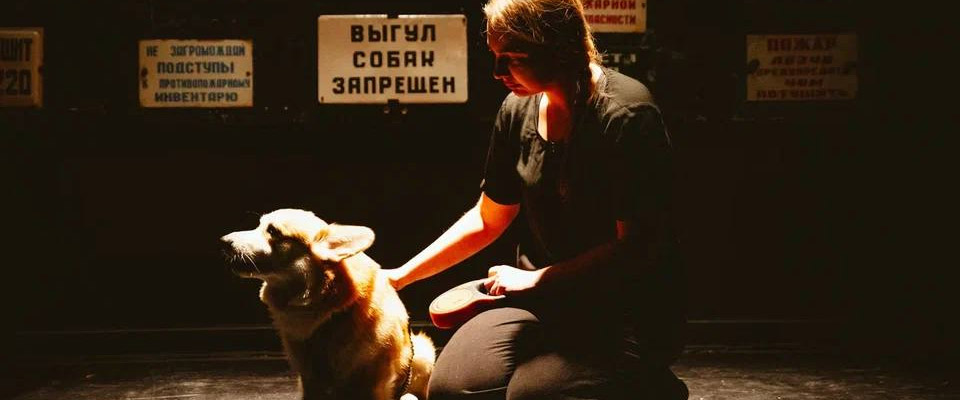 Спектакль Верь своей собаке